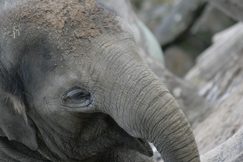 Fotoclubje Blijdorp 2008-32.jpg